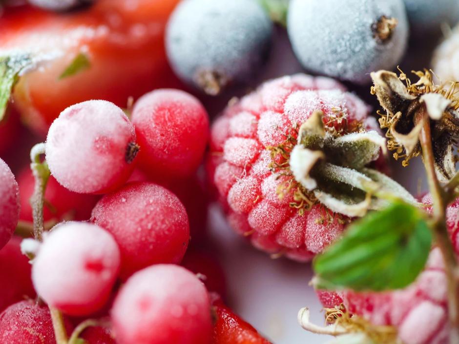 Beeren einfrieren Leitfaden
