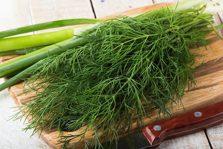 Dill
