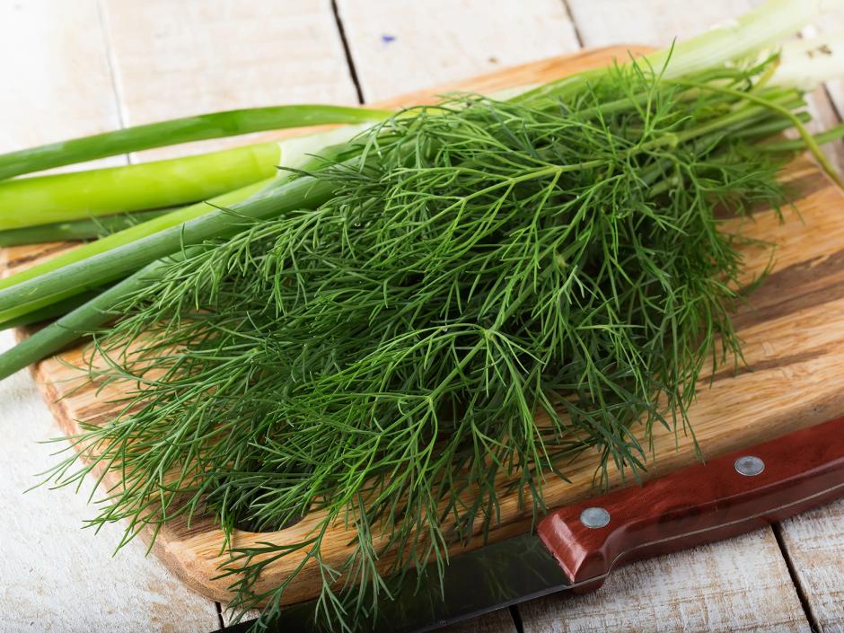 Dill