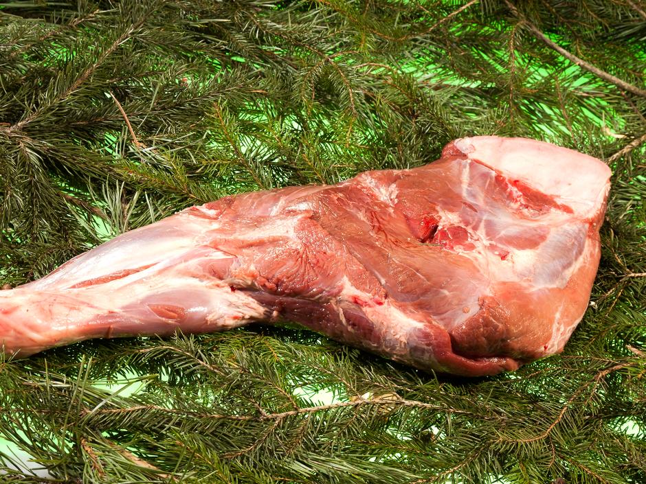 Wildschwein