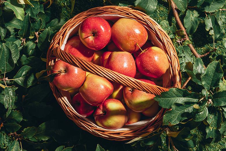 Apfel