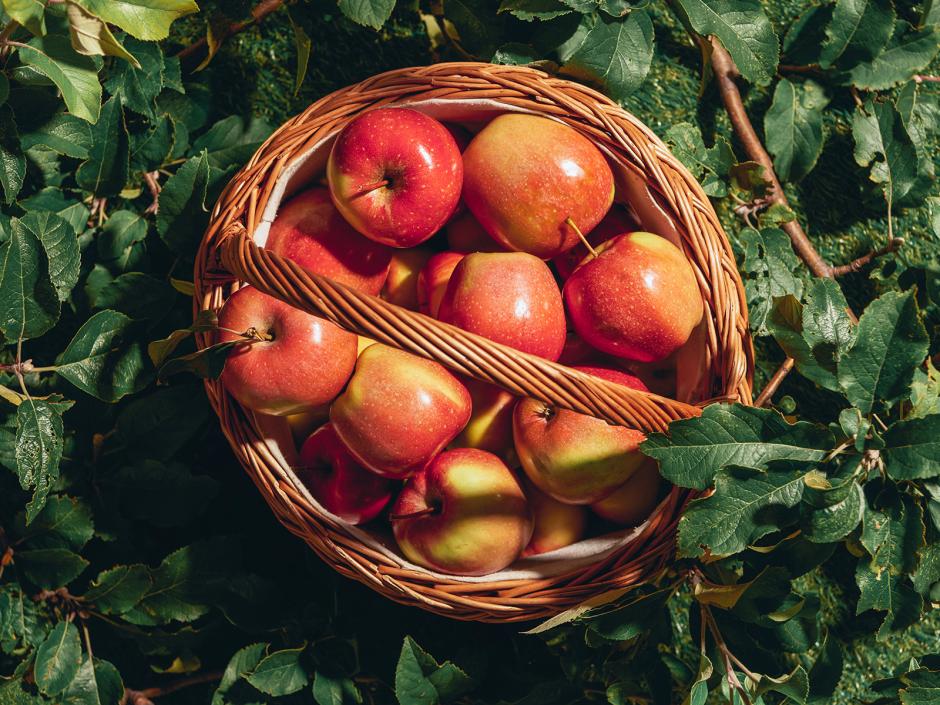 Apfel