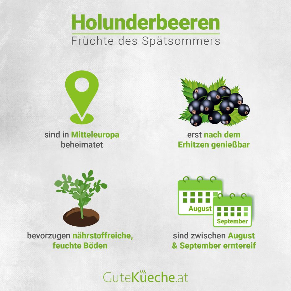 Holunderbeeren, Früchte des Spätsommers