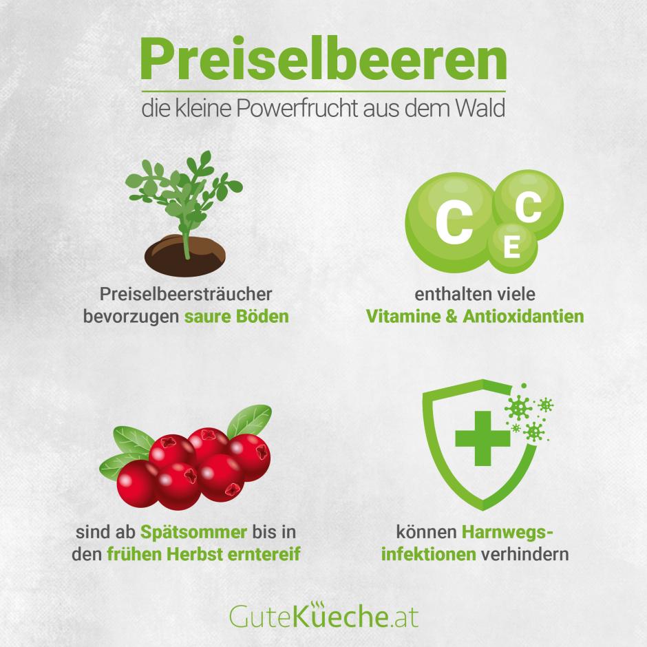 Preiselbeeren - Die kleine Powerfrucht aus dem Wald