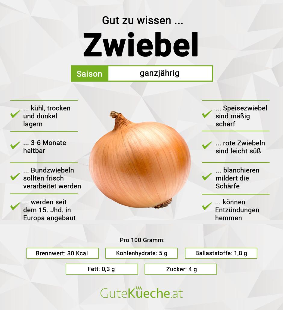Zwiebel