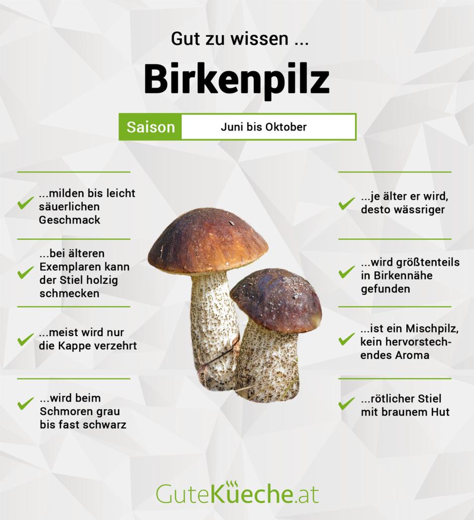 Birkenpilz (Birkenroehrling)