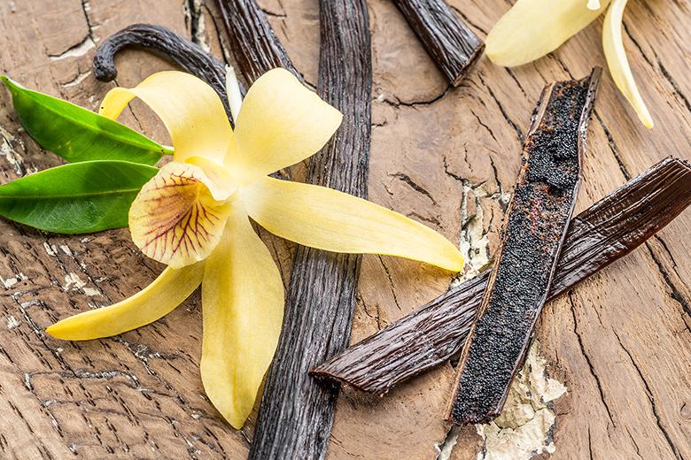 Vanille - Vanilleschote