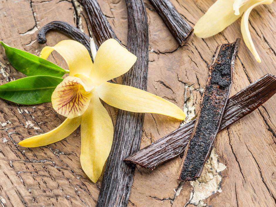 Vanille - Vanilleschote