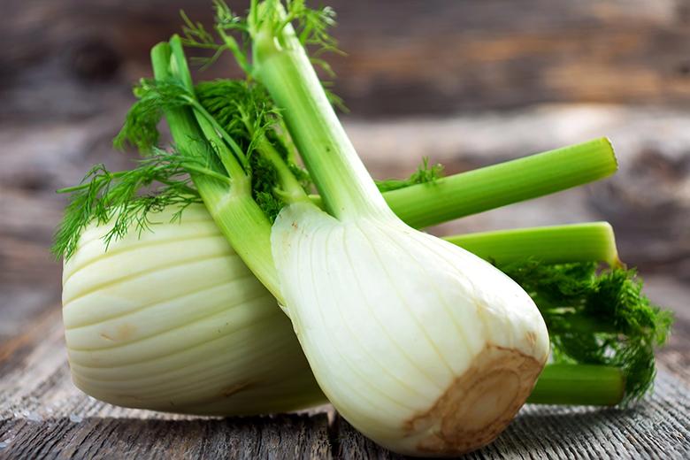 Fenchel
