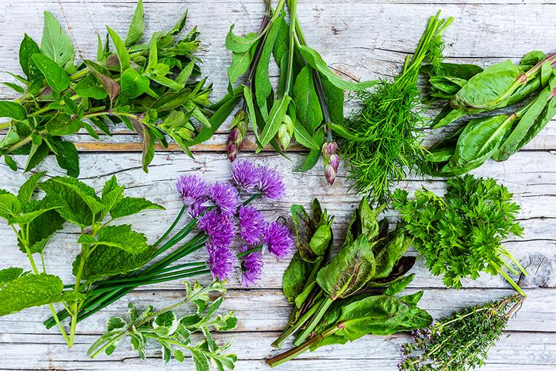 Kochen mit Frühlingskräutern