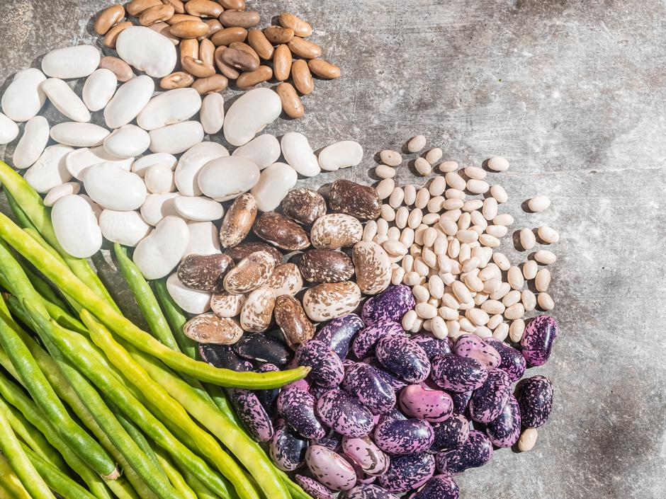 Bohnensorten