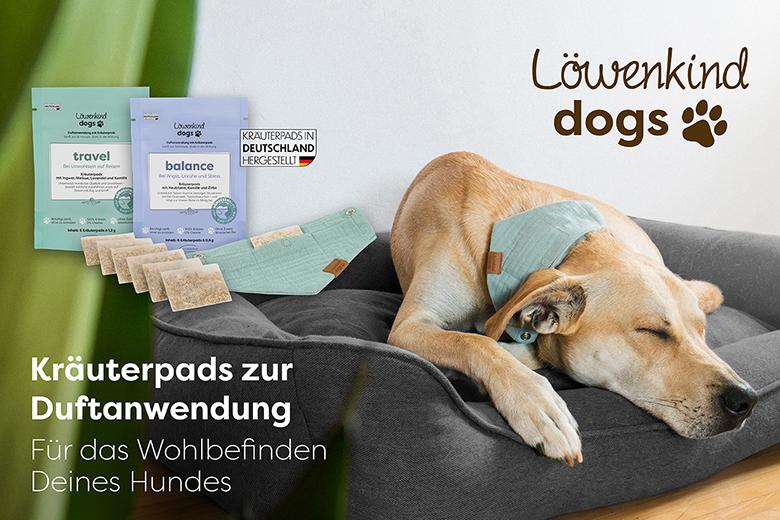 Löwenkind dogs 15 € Gutschein