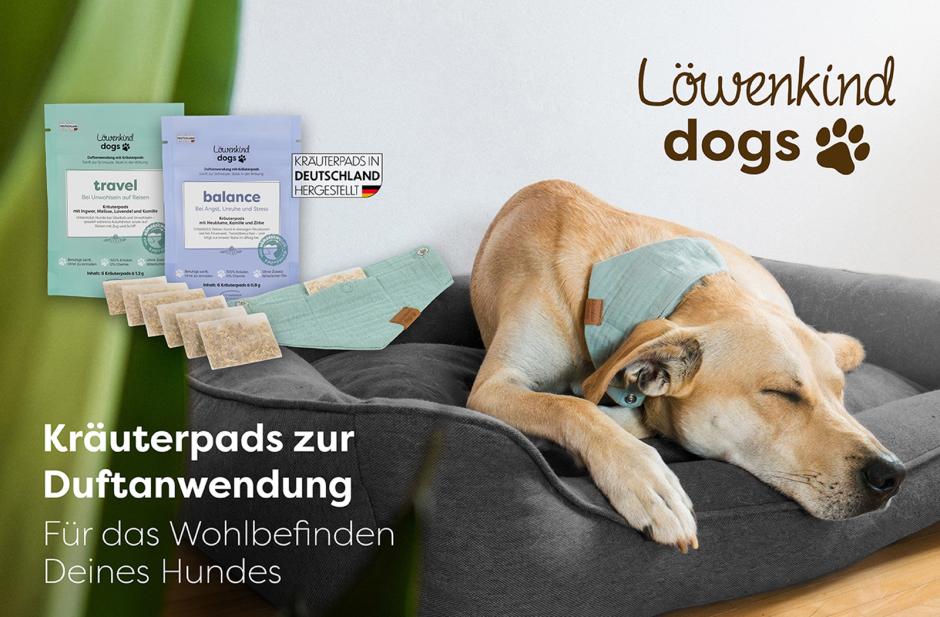 Löwenkind dogs 15 € Gutschein