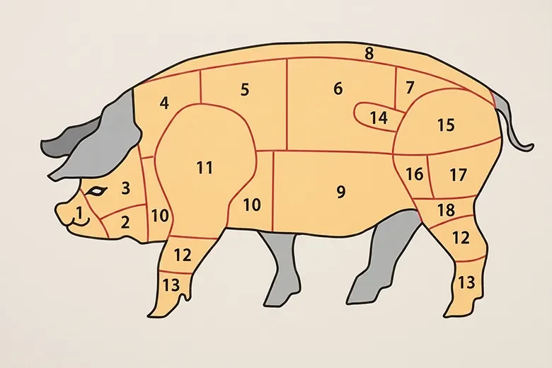 Warenkunde Schwein