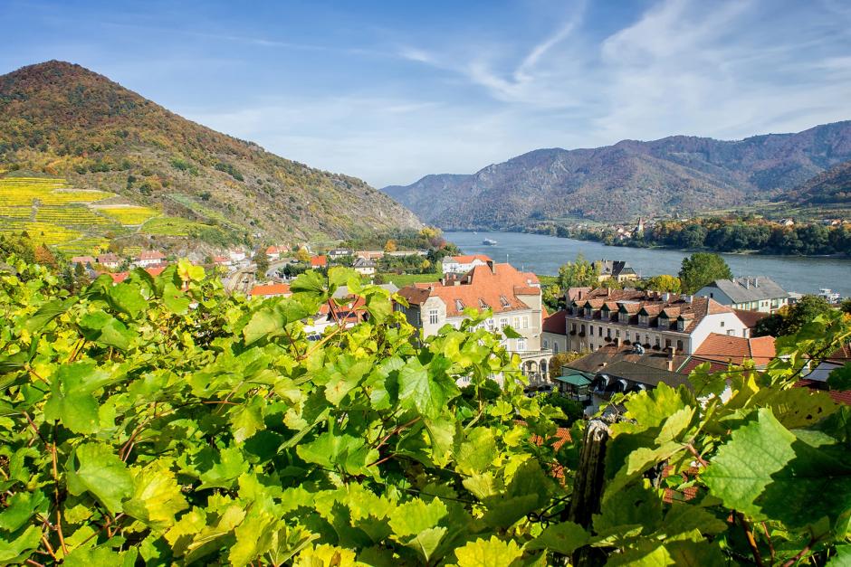 Niederösterreich - regionale Spezialitäten