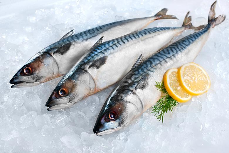 Fisch richtig lagern