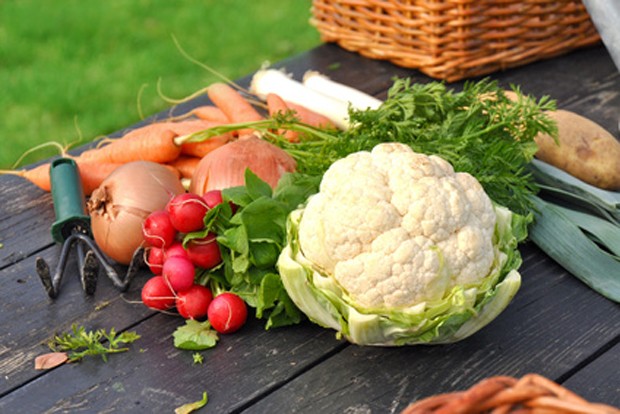 Kochen im Erd-Herd