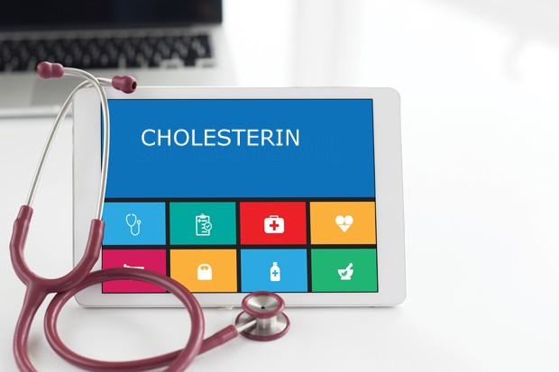 Die Cholesterin-Diät 
