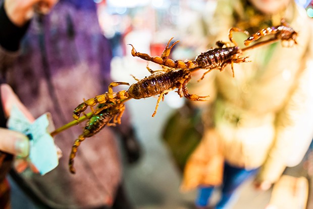 Liste von essbaren Insekten