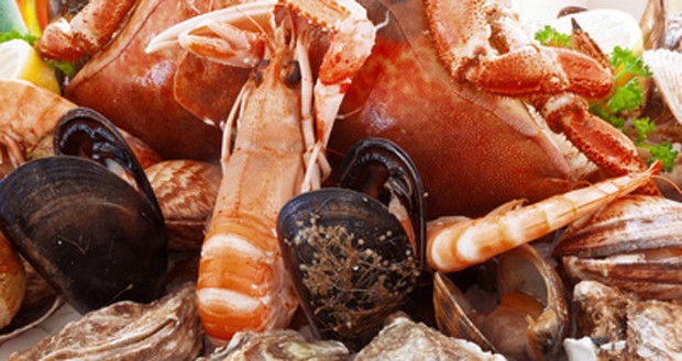 Meeresfrüchte - Köstlichkeiten aus dem Meer