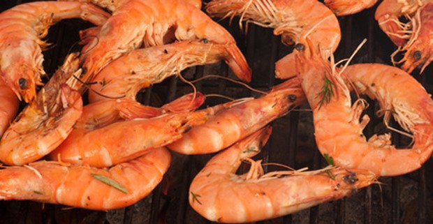 Meeresfrüchte - Köstlichkeiten aus dem Meer