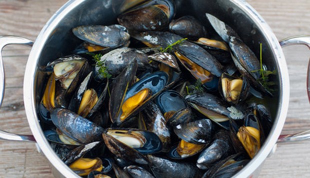 Meeresfrüchte - Köstlichkeiten aus dem Meer