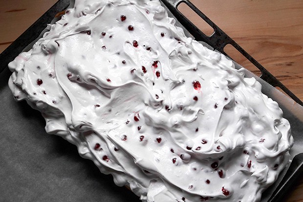 Ribiselschnitte