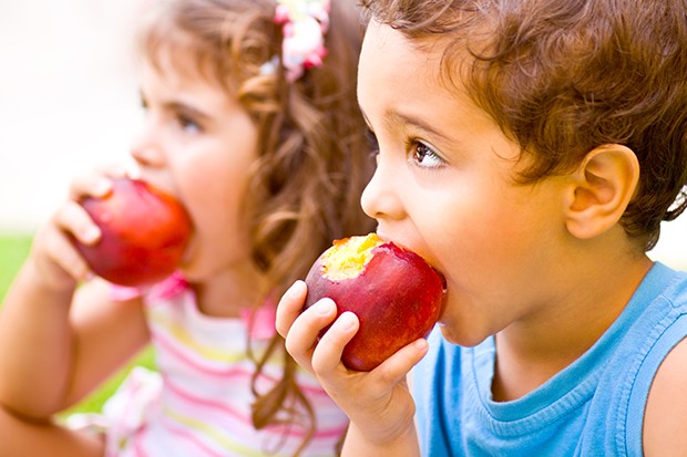 Der Ernährungsplan für Kleinkinder 