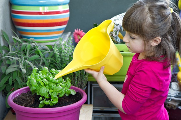 Familienprojekt: Kräuterbeet anlegen mit Kindern