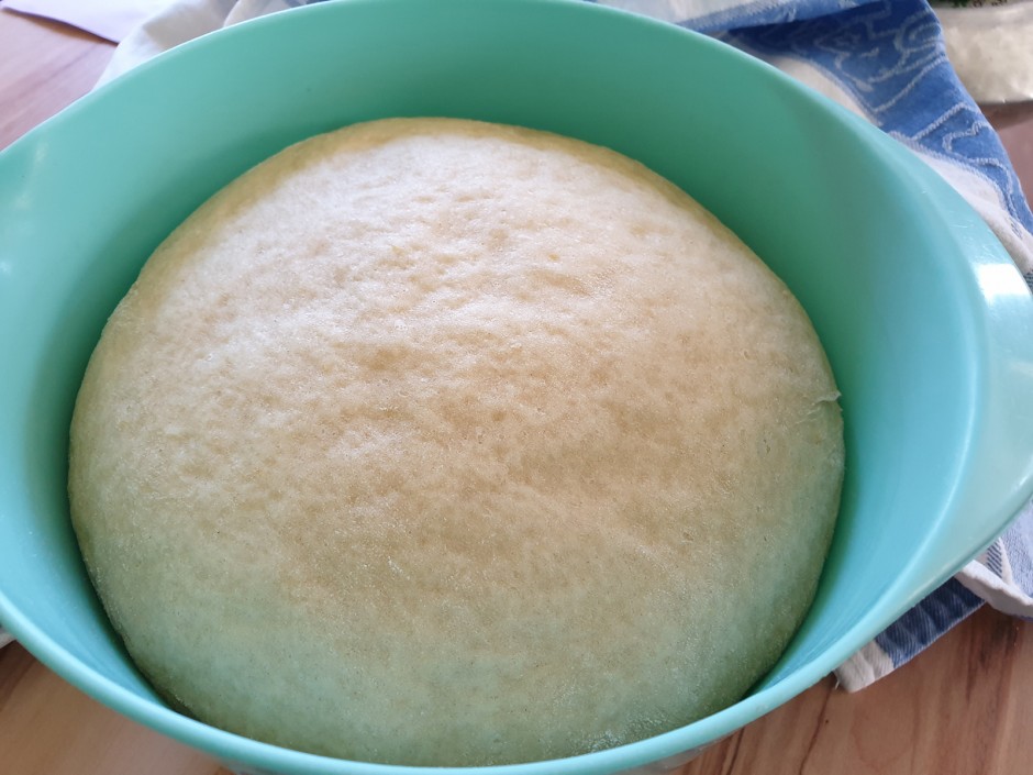 Buchteln mit Powidl gefüllt und Vanillesauce
