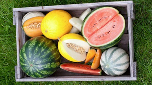 Melonen