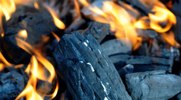 Grillkohle oder Holzbriketts?