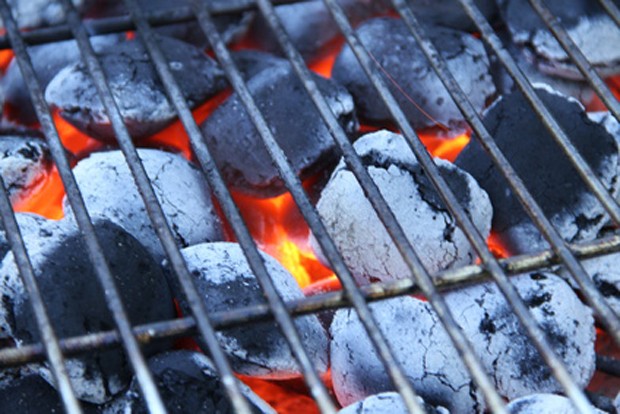 Grillkohle oder Holzbriketts?