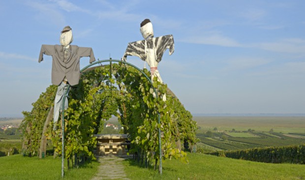 Weinregion Mittelburgenland