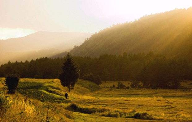 Weinland Bulgarien - bulgarischer Wein