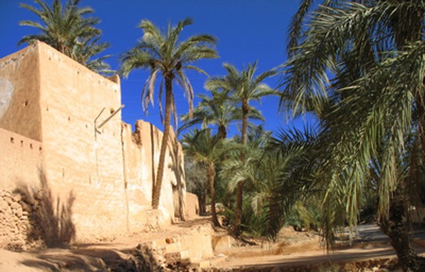 Weinland Algerien - algerischer Wein