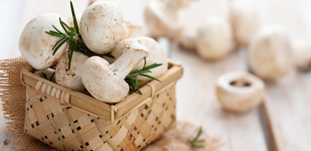 Champignons