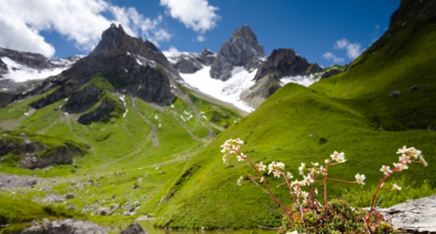 Tirol - regionale Spezialitäten