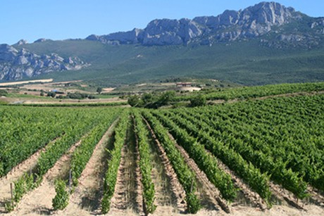 Weinland Spanien - spanischer Wein