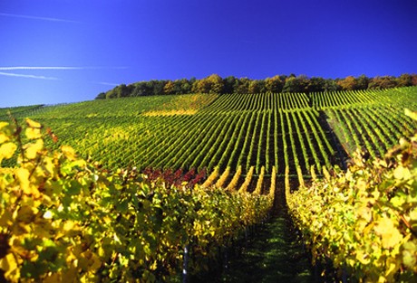 Weinland Deutschland - deutscher Wein