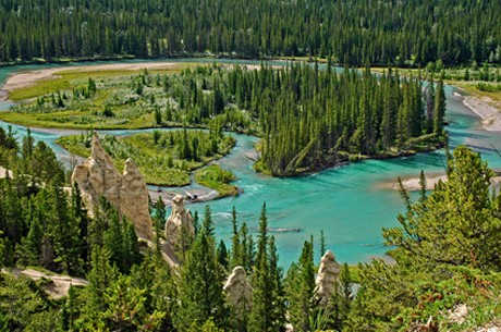 Weinland Kanada - kanadischer Wein