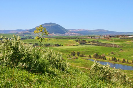 Weinland Israel - israelischer Wein