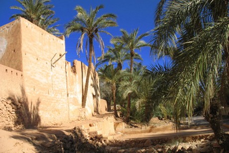 Weinland Algerien - algerischer Wein