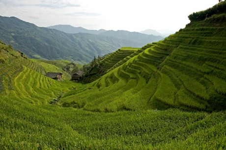 Weinland China - chinesischer Wein
