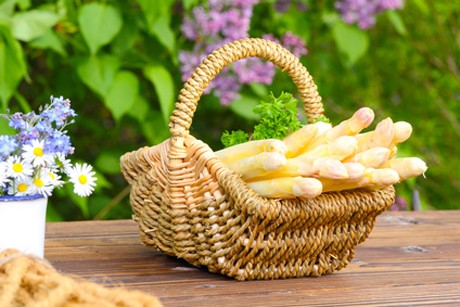 Frühlingsgemüse
