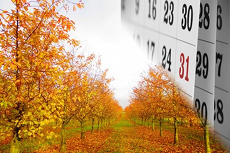 November