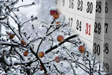Dezember