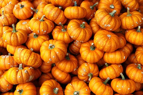 Mandarin