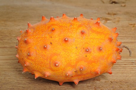 Cucumis Metuliferus
