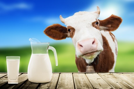Milchalternativen bei Laktoseintoleranz